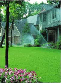 about sprinkler systems